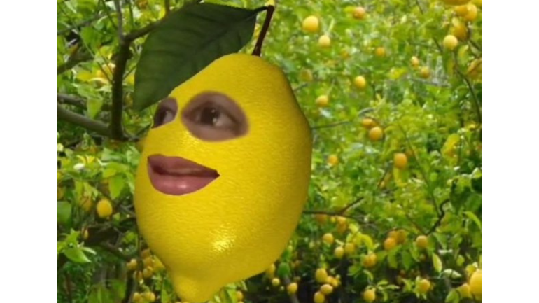 filter lemon tiktok nikita mirzani